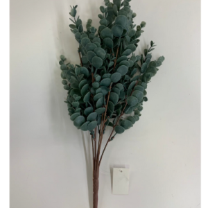 Rama de Eucalipto 7 varas – 4200