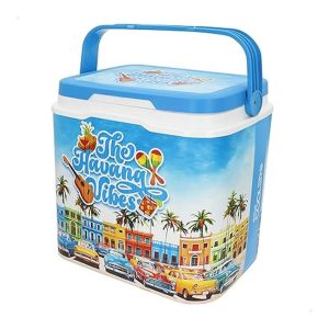 Aktive Nevera Rígida de Playa 24L Summer Trends 62395