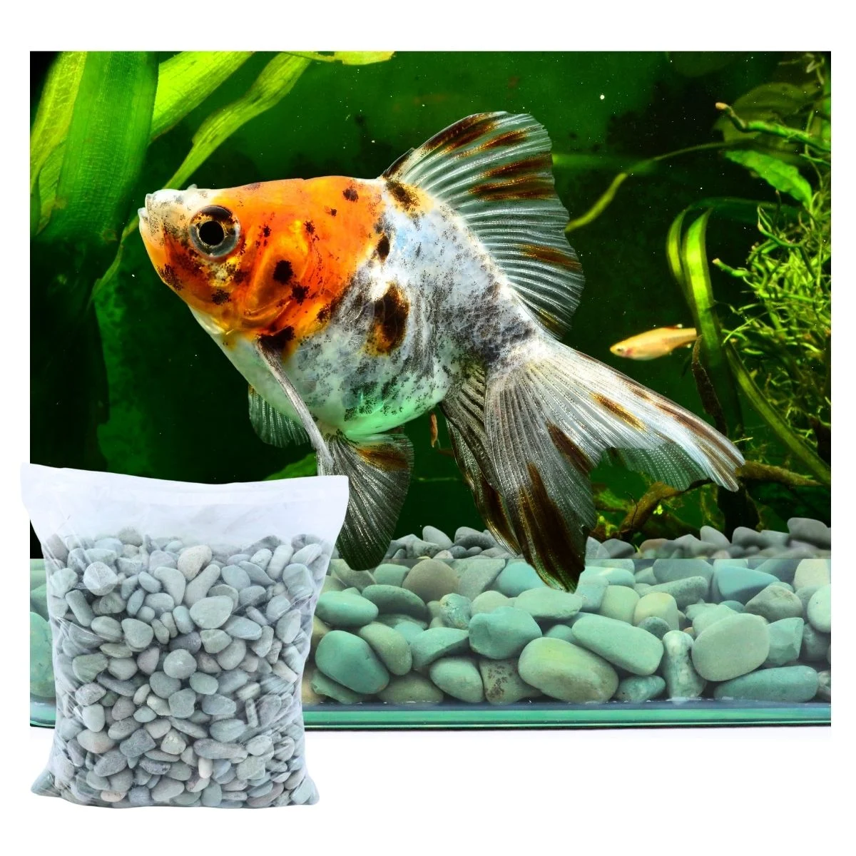 Gravilla Para Acuarios Adornos De Piedra - Imagen 9